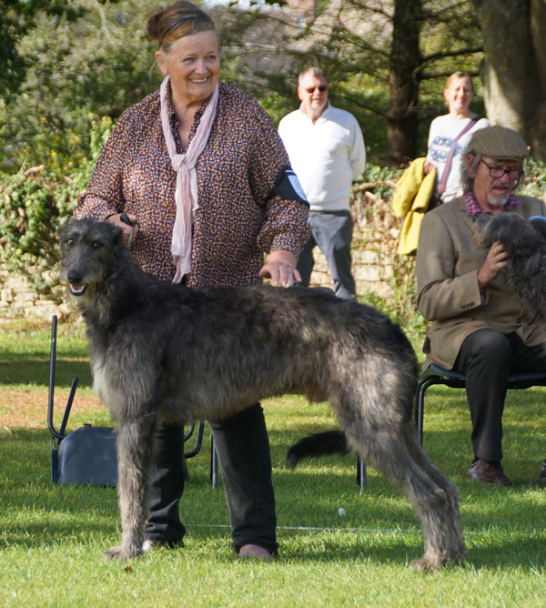 Kensteen Laird of Islay at Ballygrand